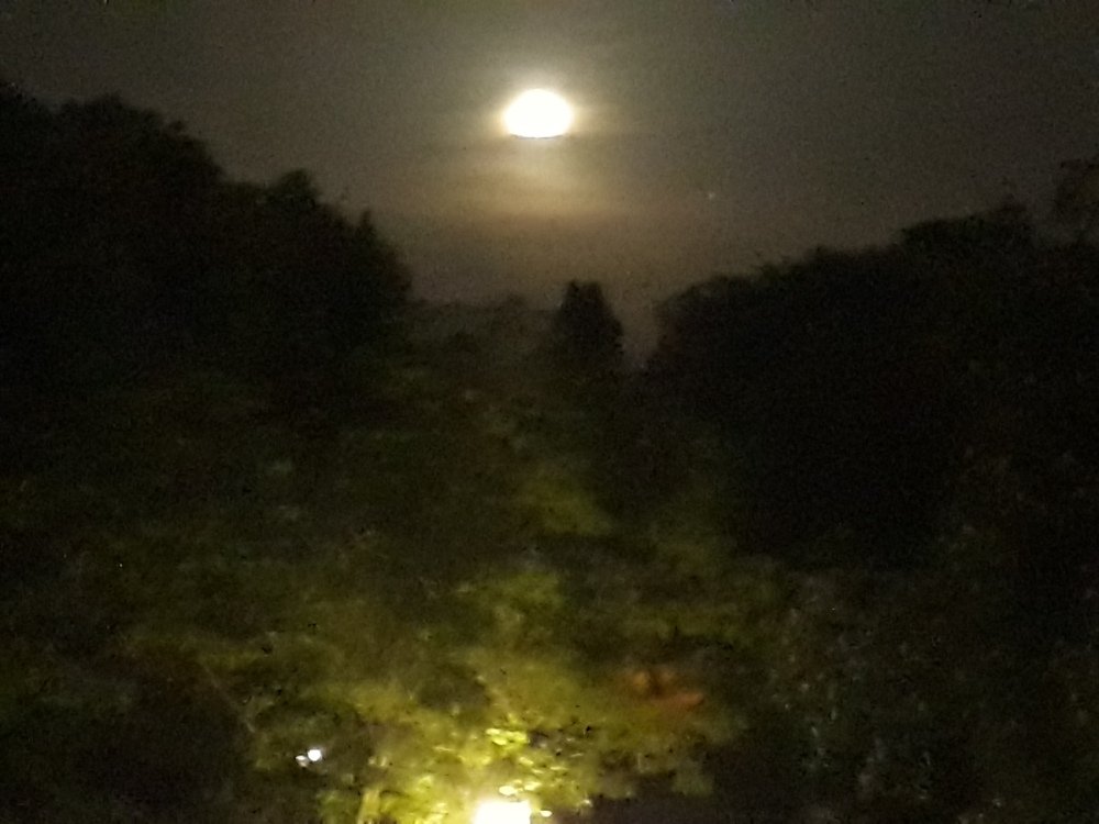 Photograph by Marius-Angel Gheorghe