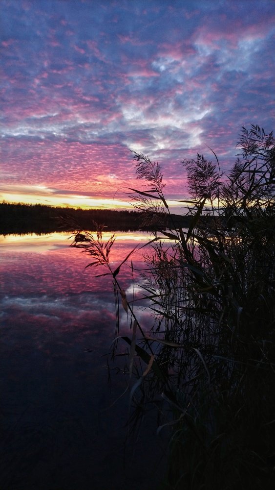 Photograph by Анастасия Павлова