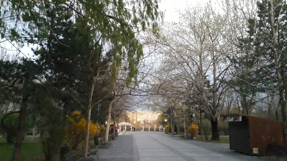 Photograph by Marius-Angel Gheorghe