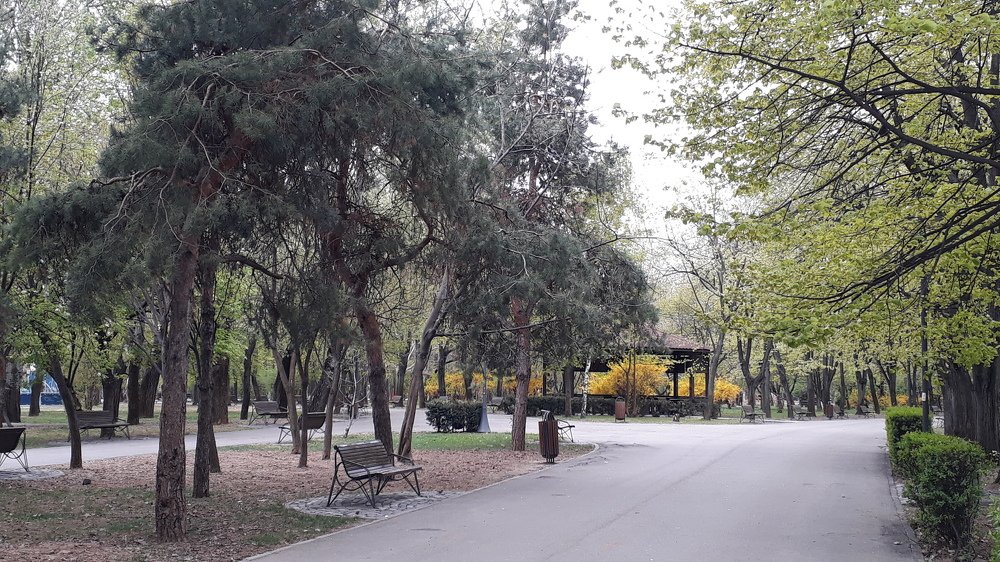 Photograph by Marius-Angel Gheorghe