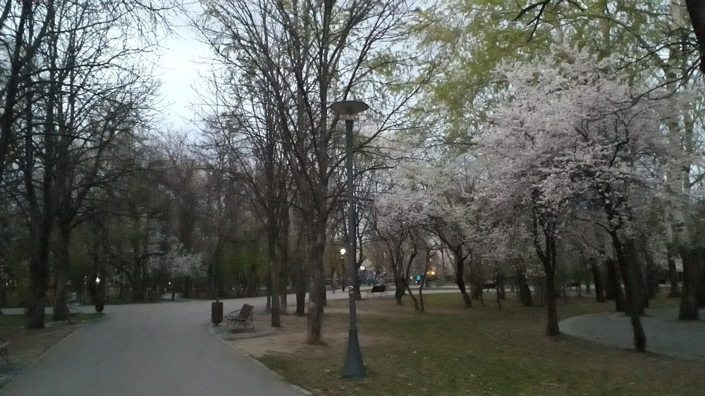 Photograph by Marius-Angel Gheorghe