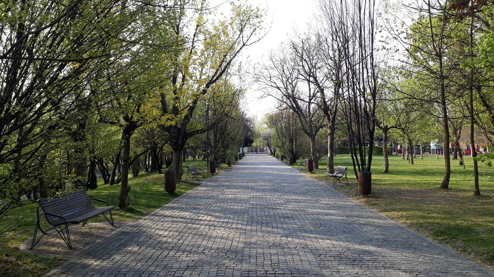 Photograph by Marius-Angel Gheorghe