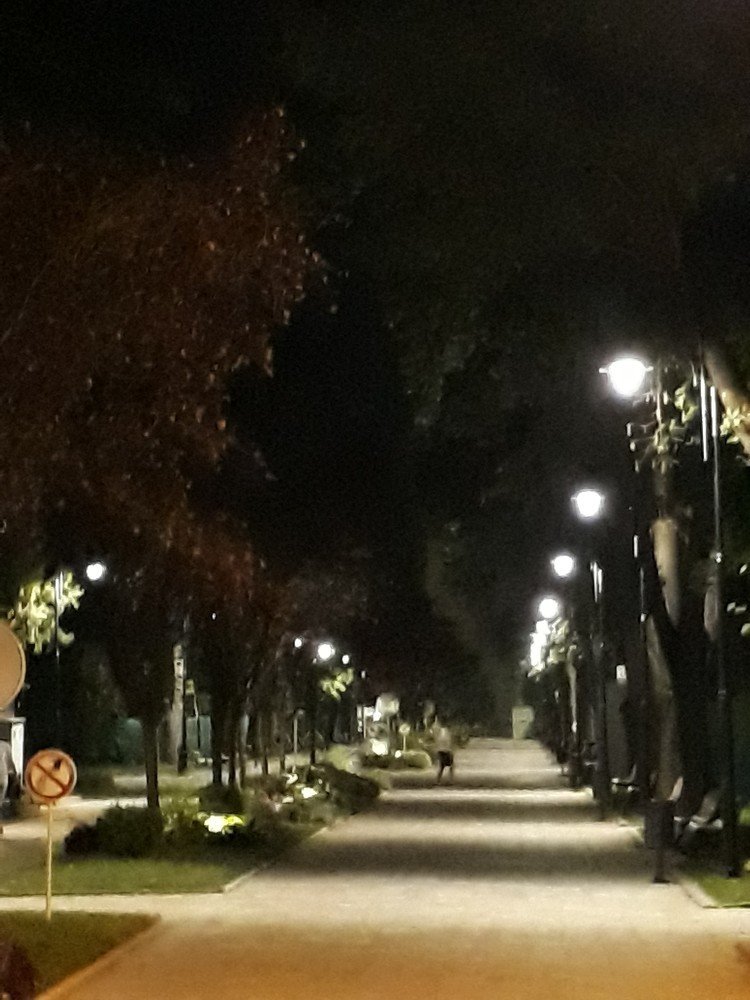 Photograph by Marius-Angel Gheorghe