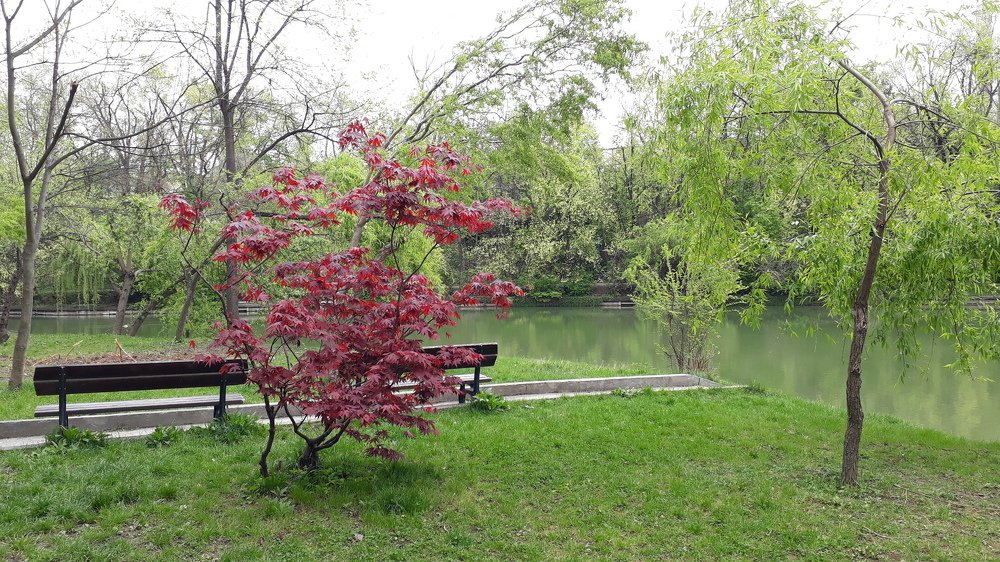 Photograph by Marius-Angel Gheorghe