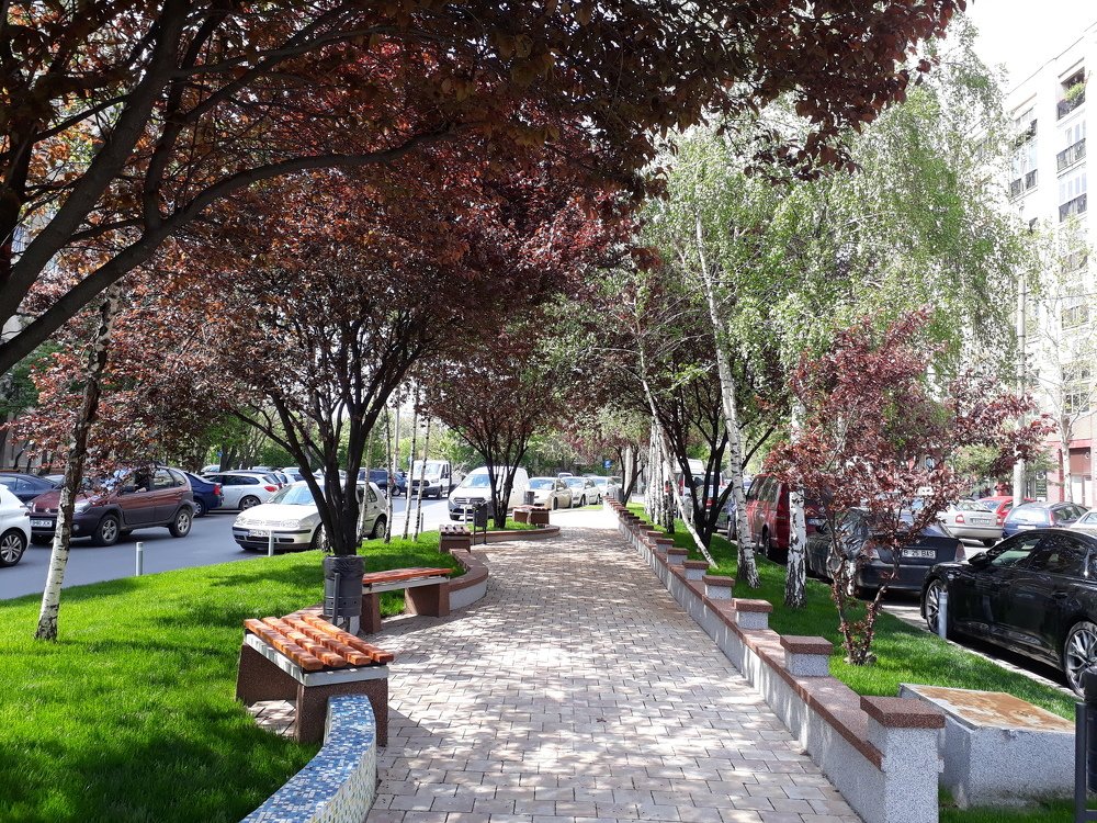 Photograph by Marius-Angel Gheorghe