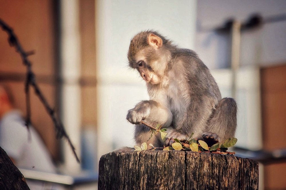 Photograph by Евгения Сафронова