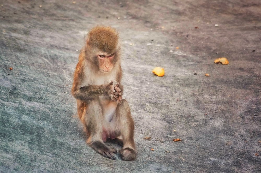 Photograph by Евгения Сафронова