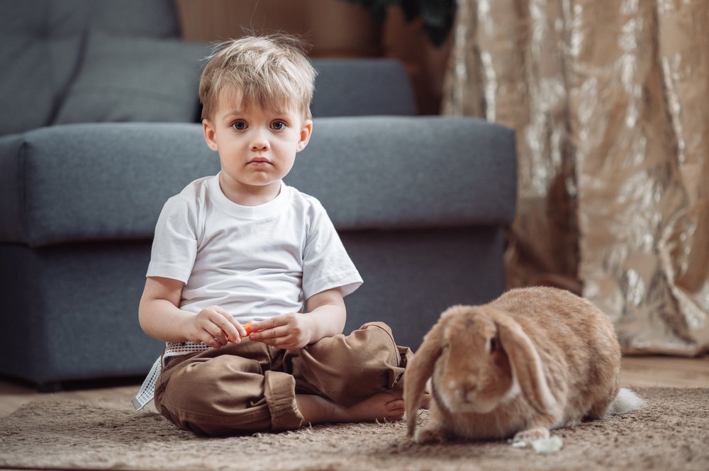 Одна морковка на двоих / One carrot for two