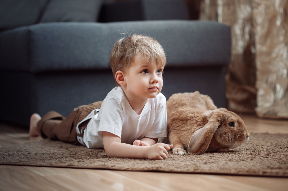 Друзья / friends