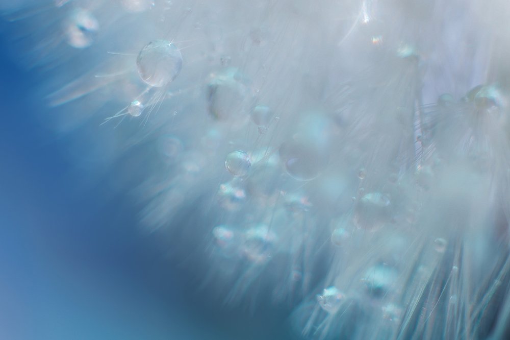 Нежный жемчуг