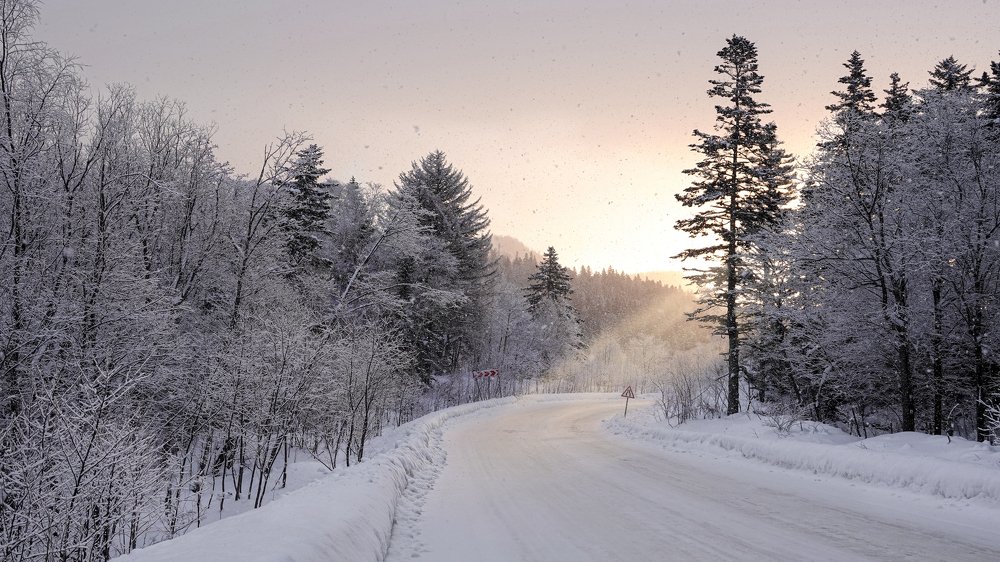 Photograph by Андрей Щербинин