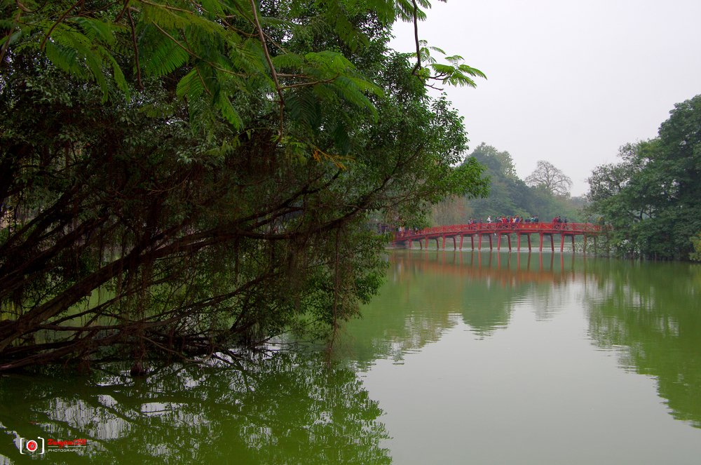 Photograph by Trung Nguyễn