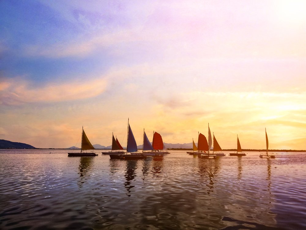 Photograph by Trung Nguyễn