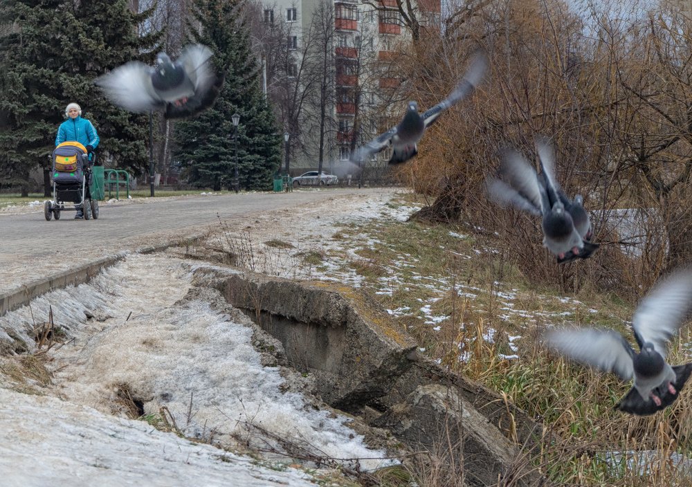 Фотография автора владимир шаронов