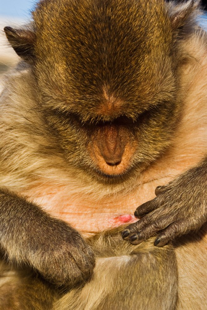 Ой, что это? )