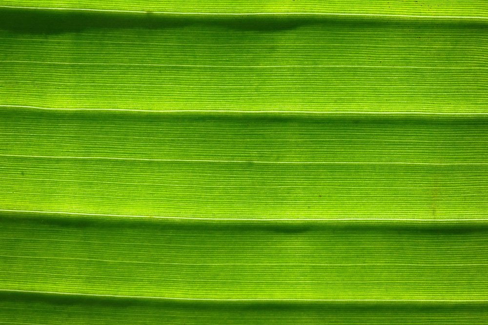 Photograph by Vladislav Kutepov