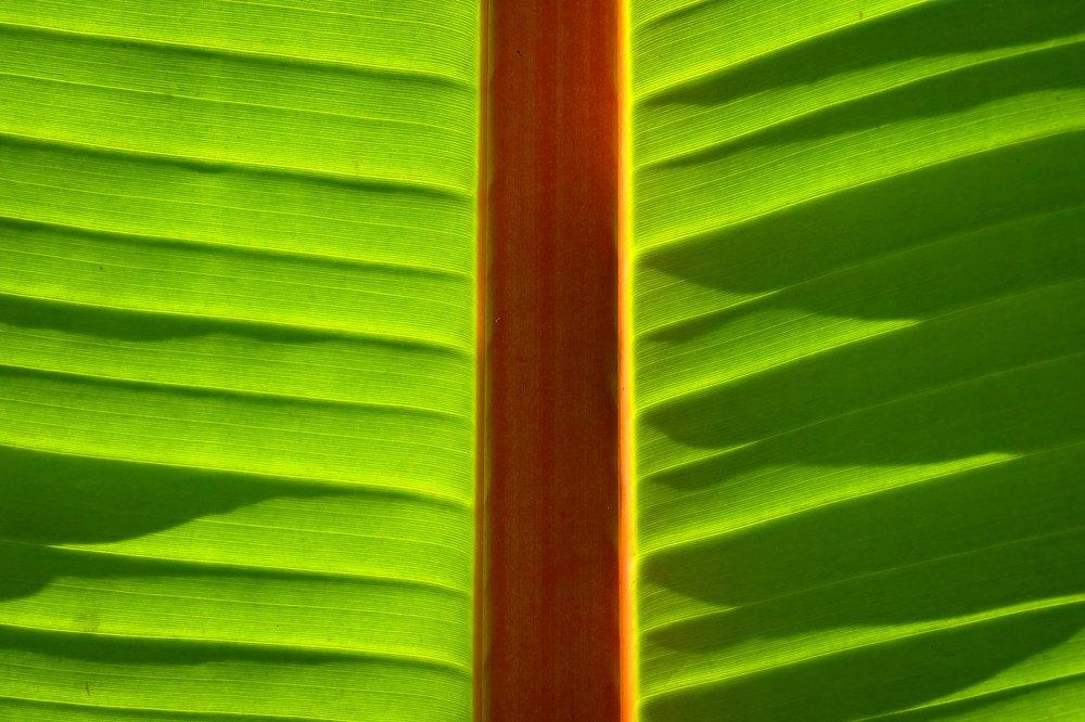 Photograph by Vladislav Kutepov