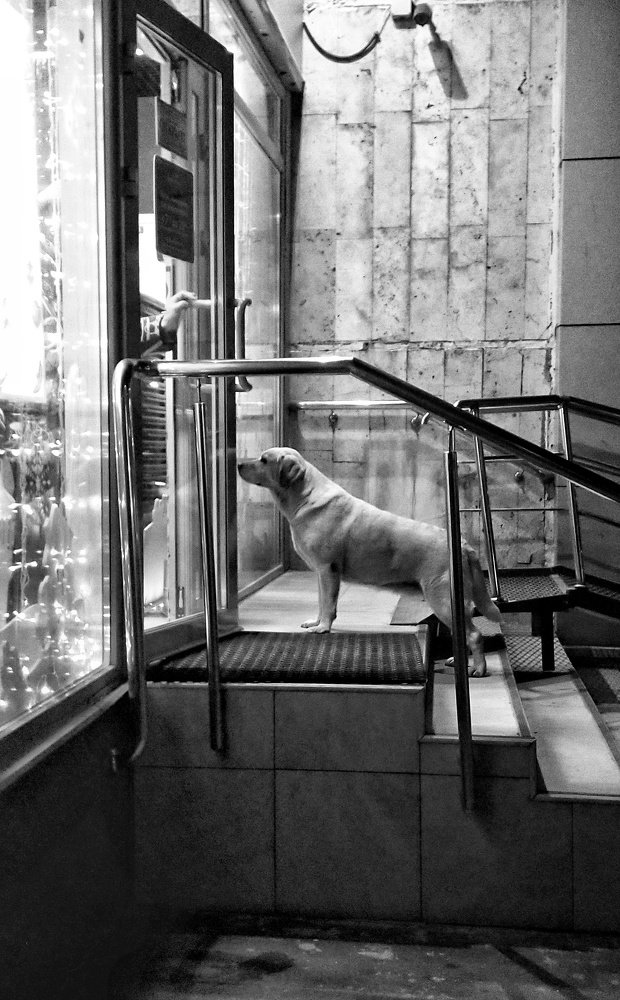 Photograph by Валерий Зарайсько