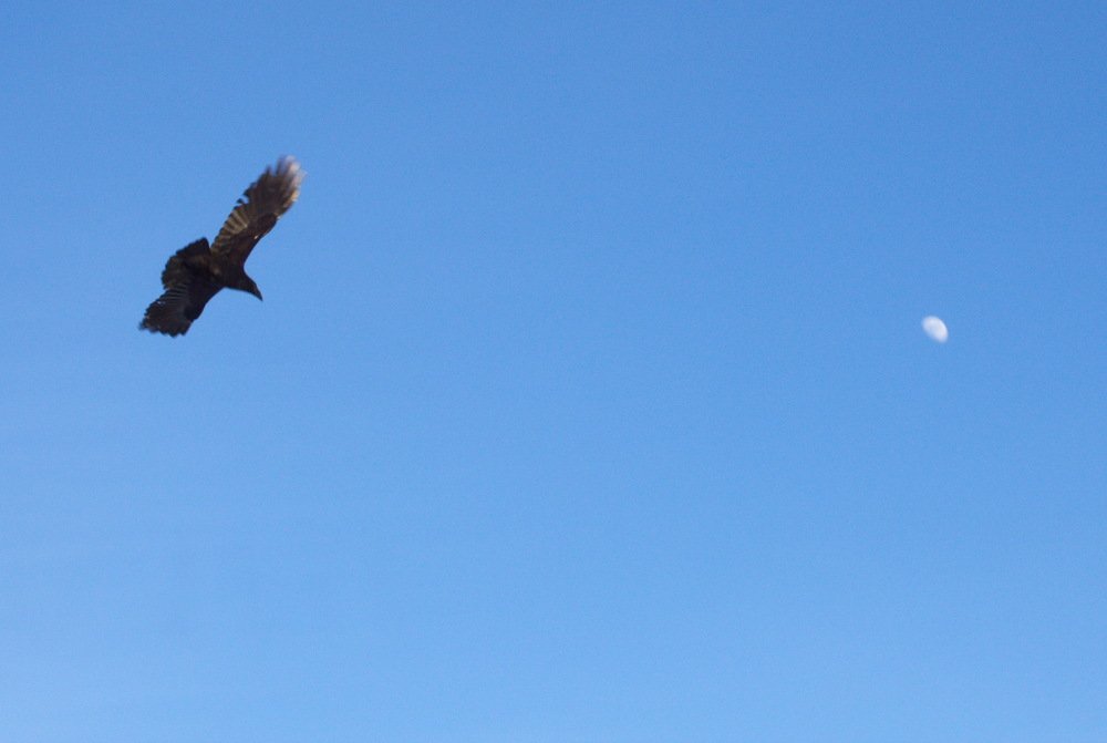 Photograph by миша