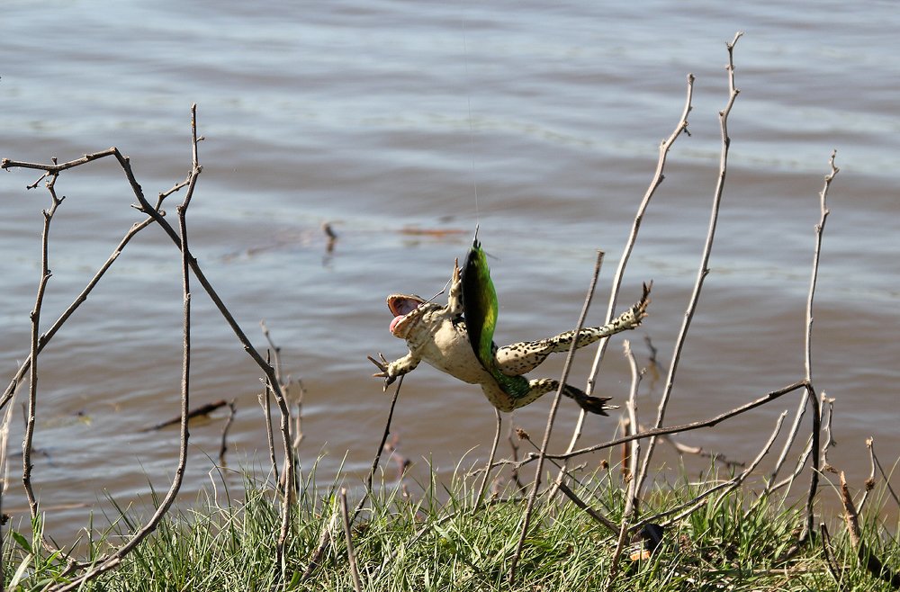 Photograph by Julia Nazarova