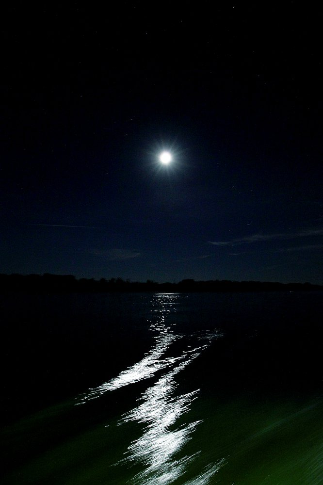 Photograph by Сергей Голов