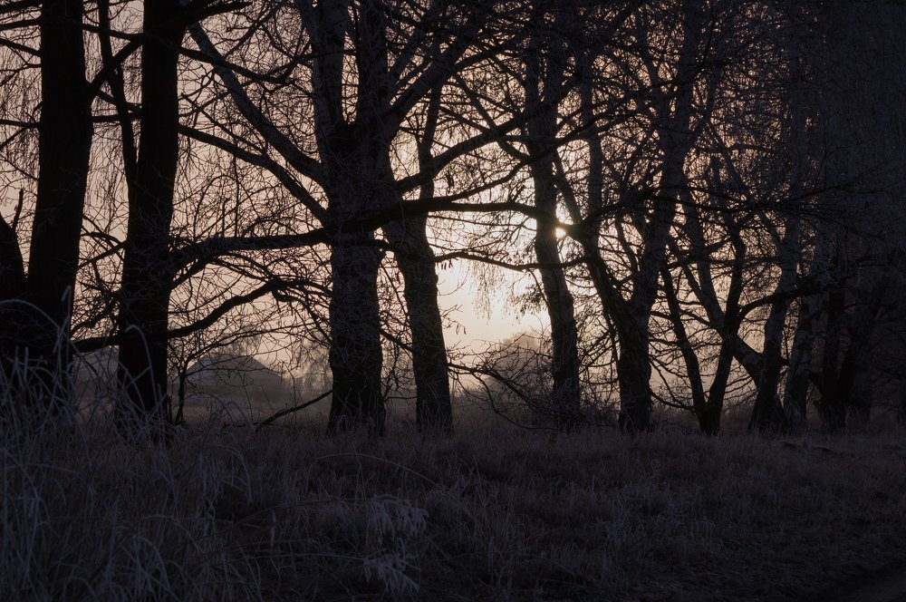 Photograph by Виктор Зотов