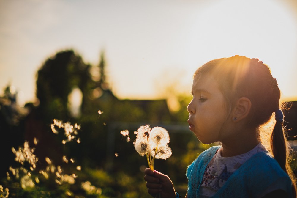 Photograph by Павел Синегубов