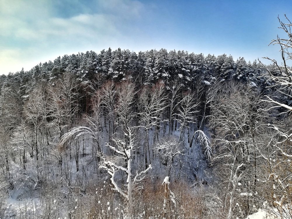 Снежные вершины