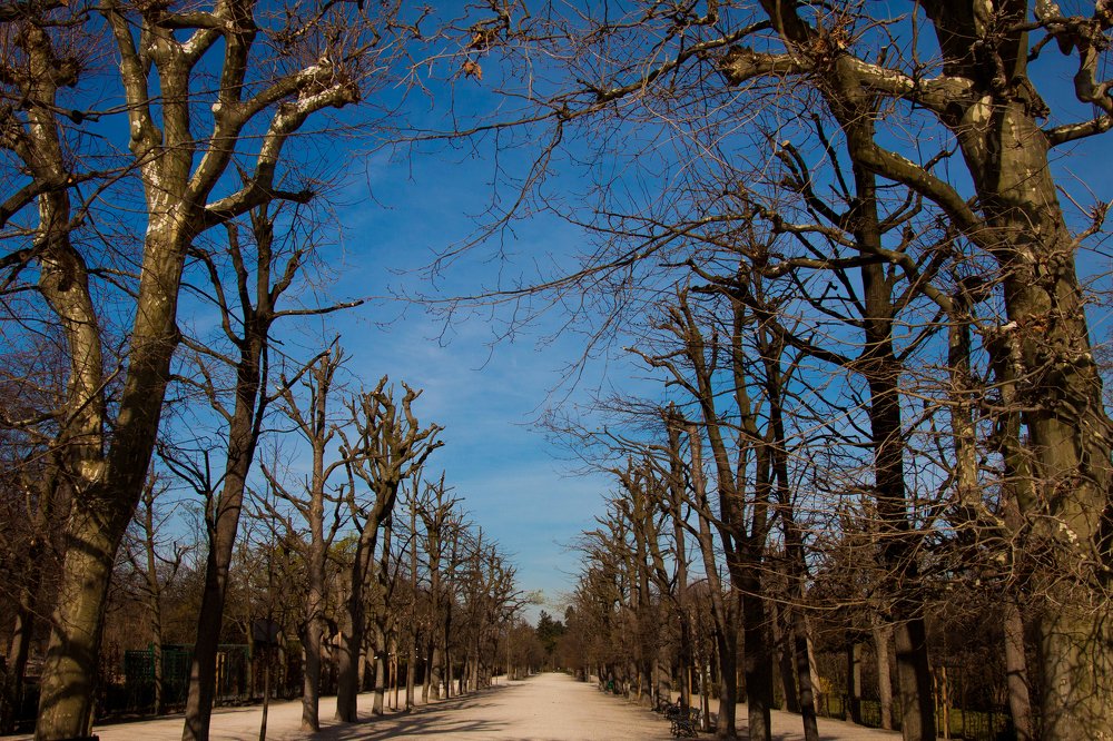 Photograph by Павел Синегубов