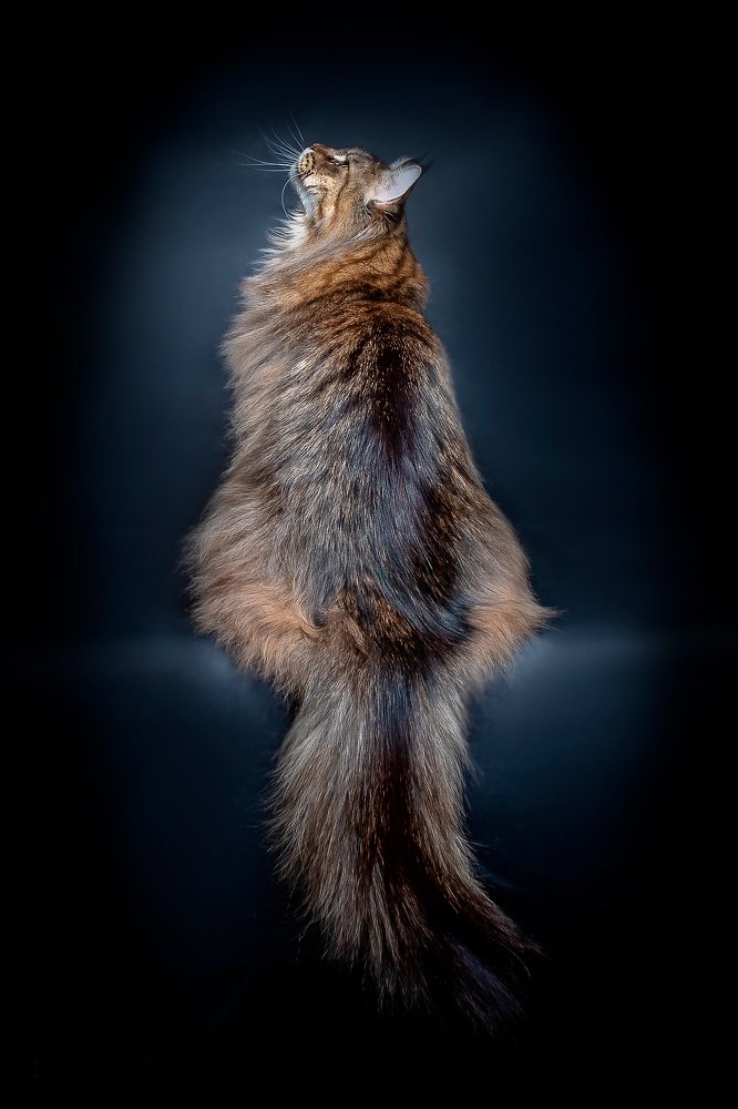 Photograph by Николай Сизиков