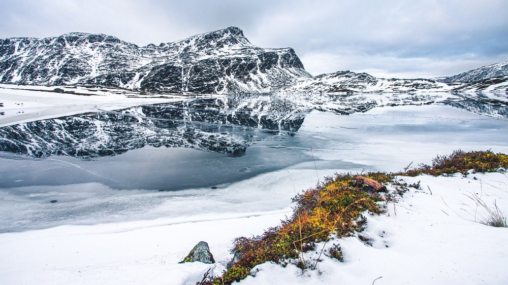 Photograph by Николай Сизиков