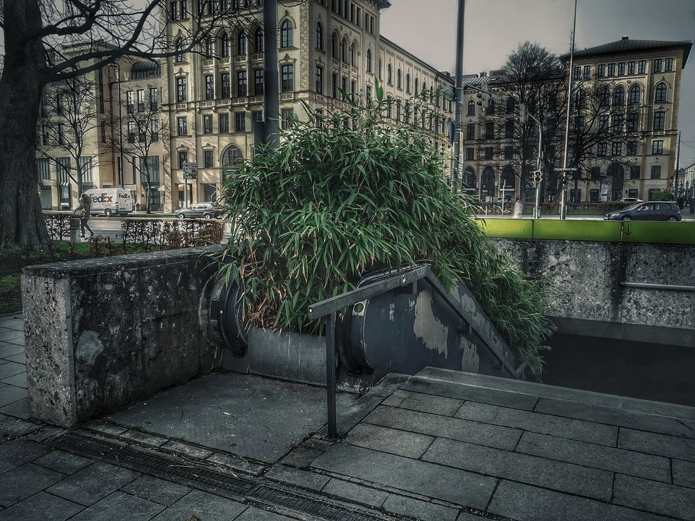 Photograph by Максим Ершов