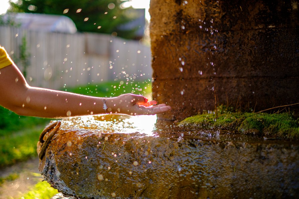 Photograph by Павел Синегубов