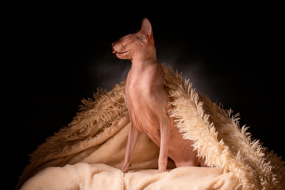 Photograph by Николай Сизиков