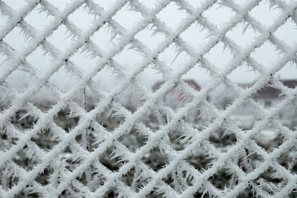 Фотография автора Teglaş Marin