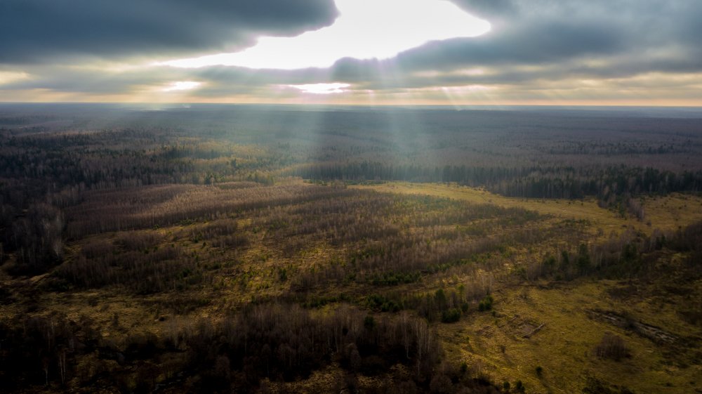 Фотография автора Дмитрий Храмцов