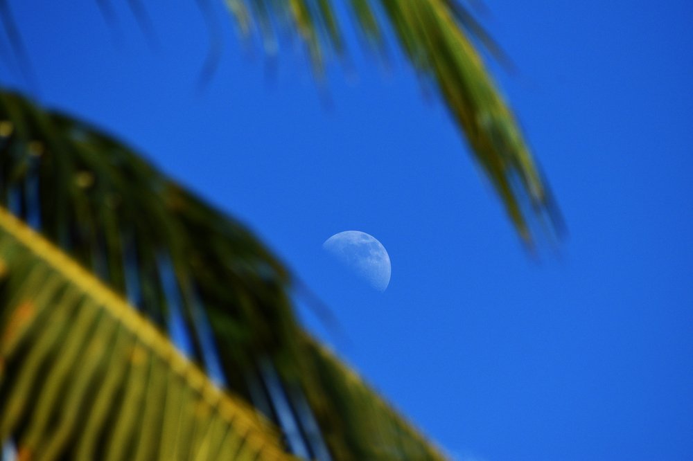 Photograph by George Sorin