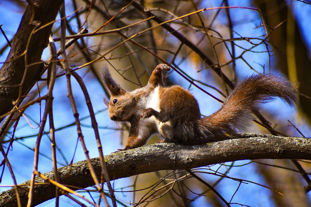 Photograph by George Sorin