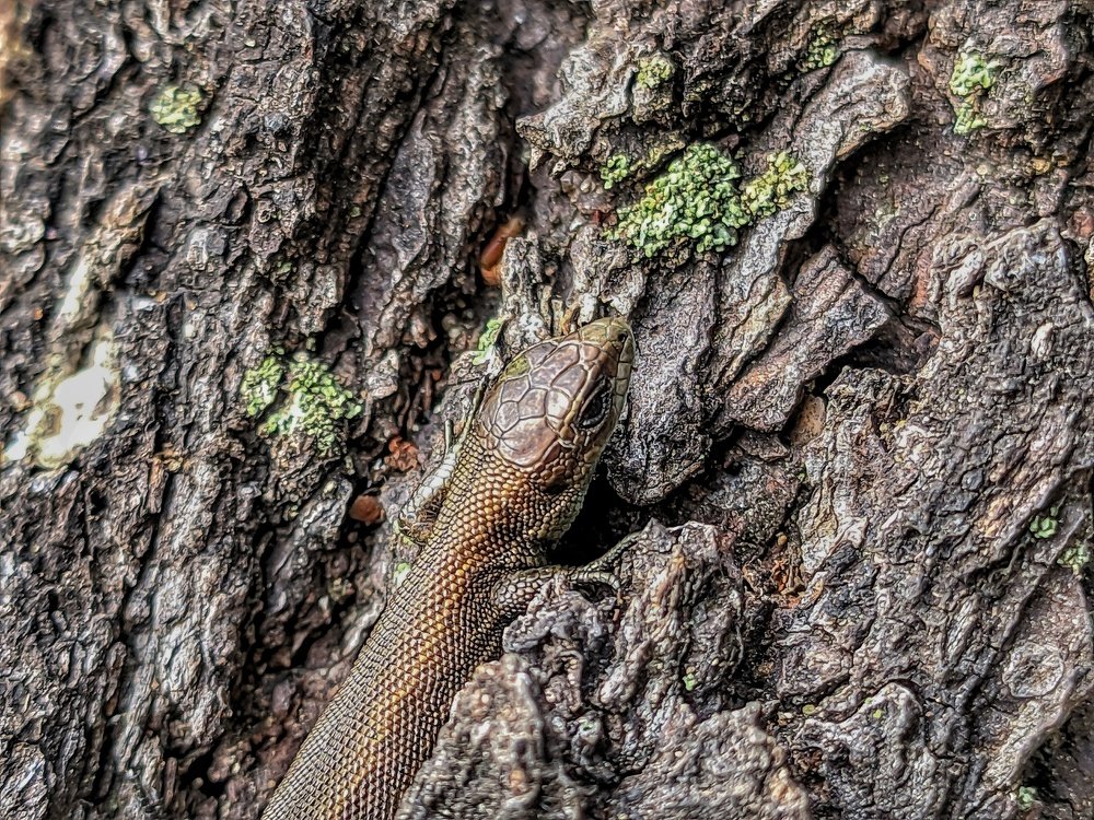 Photograph by Денис Пономарёв