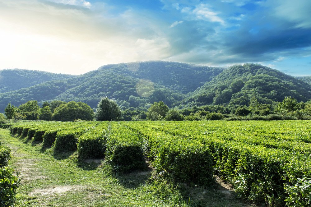 Photograph by Сергей Кочетов