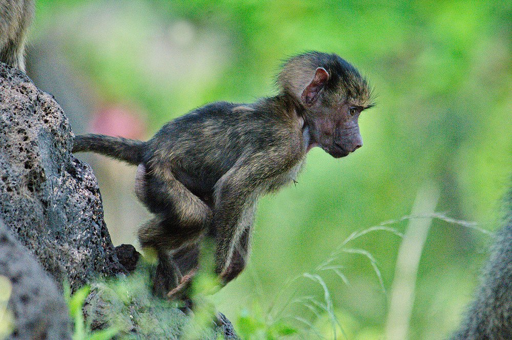 Photograph by Lev Prilutsky