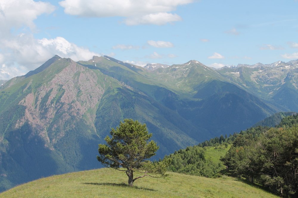 Photograph by Ирина Поваляева