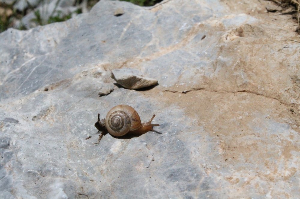 Photograph by Ирина Поваляева