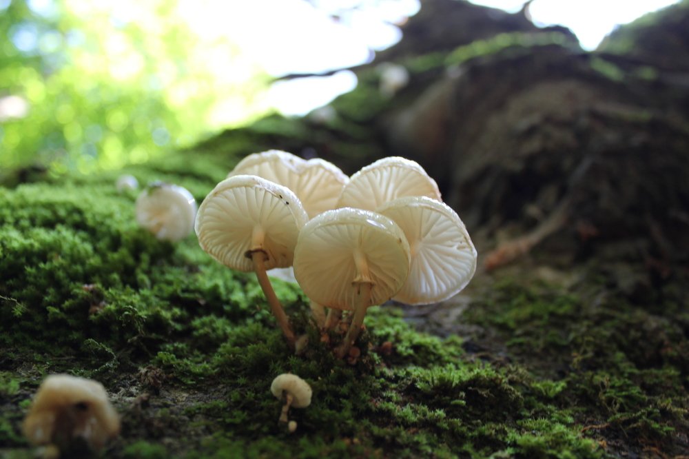 Photograph by Ирина Поваляева