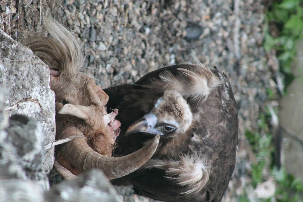 Photograph by Ирина Поваляева