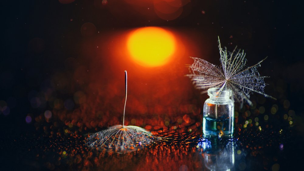 Фотография автора Андрей Сосновский