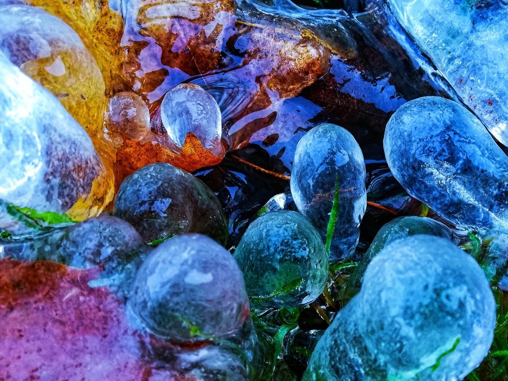 Ледяное утро