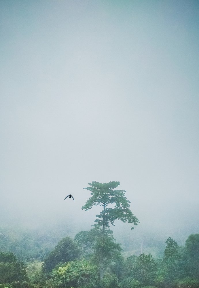 Photograph by Ayie Andri Nur