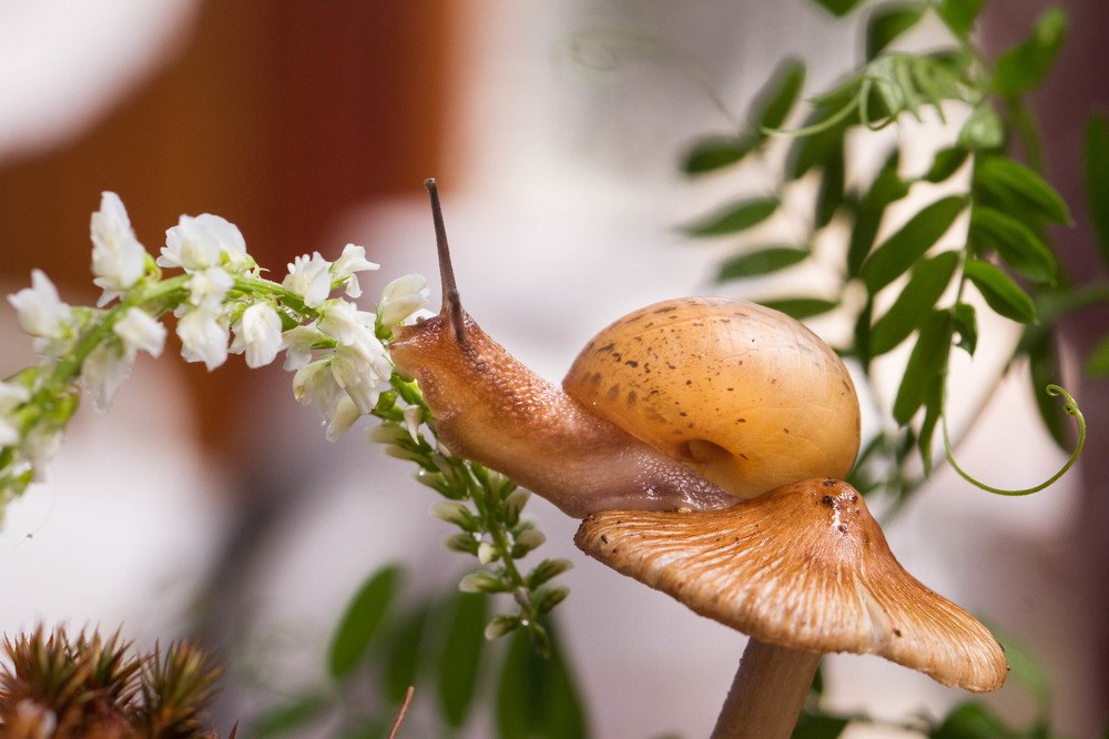 Photograph by Таня Короткова