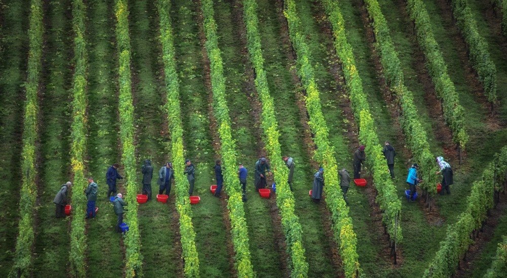 Photograph by Guy Krier